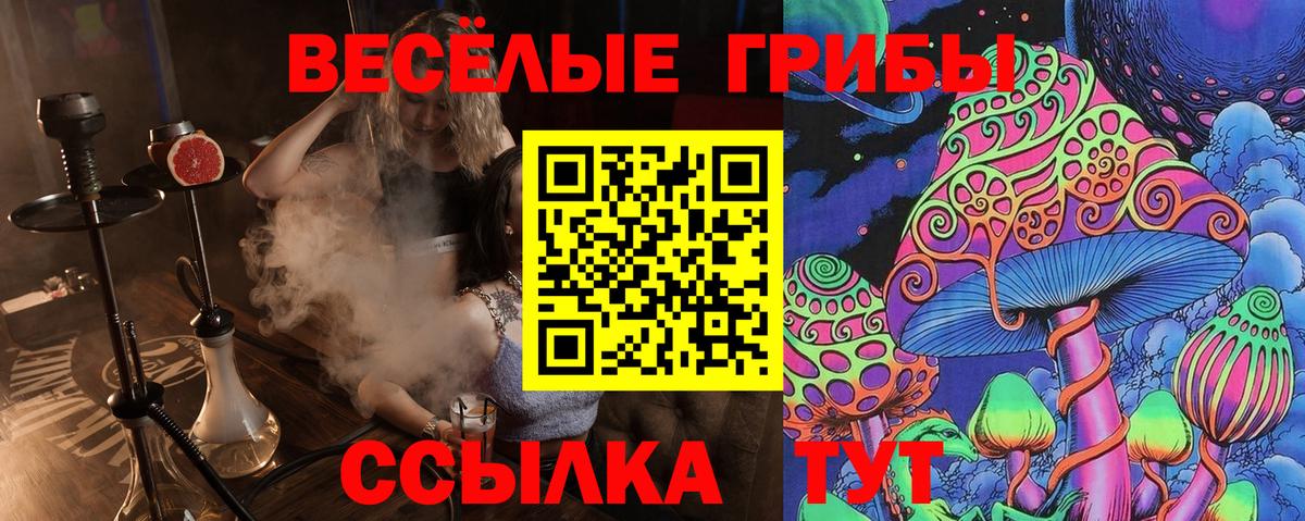 Нижний Тагил  Галлюциногенные грибы Psilocybine cubensis  Вход с VPN  Галлюциногенные грибы Psilocybine cubensis 