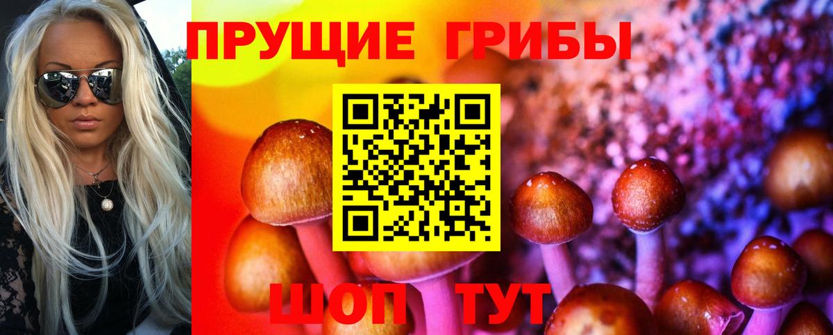 Галлюциногенные грибы Psilocybe Нижний Тагил